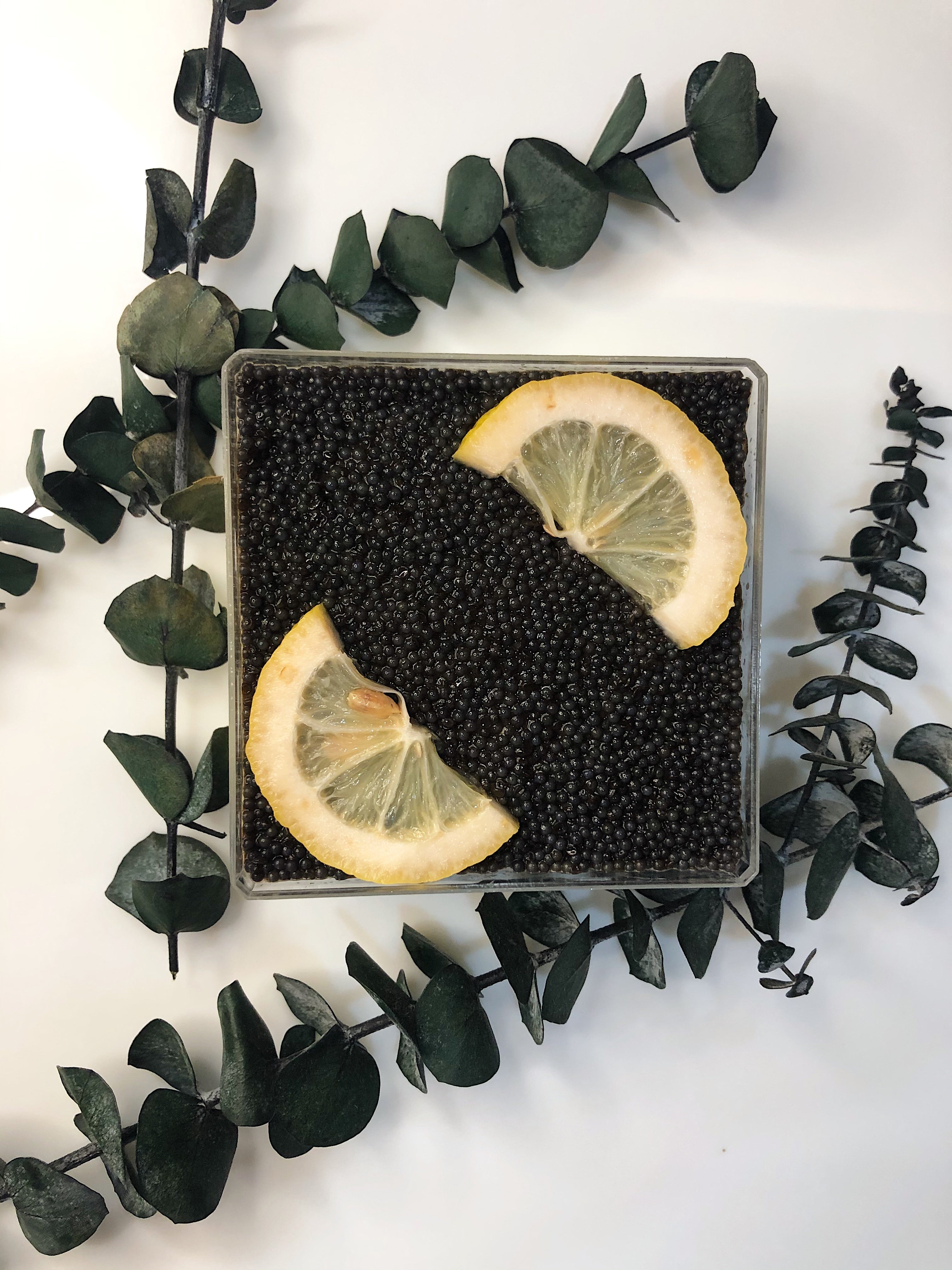 Classic Caviar Pie - Acrylic Box